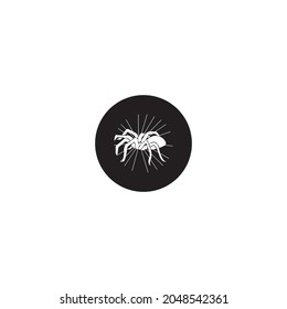 Spider icon vector illustration design template.