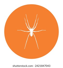 spider icon vector illustration design