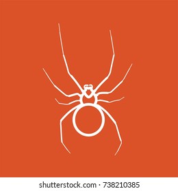 Spider icon, vector illustration design. Halloween collection.