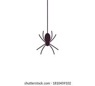 Spider icon. Vector illustration, flat design.