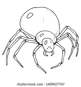 Spider icon. Vector illustration of a scary spider. Spider web hand drawn.