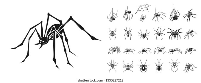 Spider icons set. Simple set of spider vector icons for web design on white background