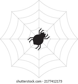 Spider icon.vector illustration symbol design.