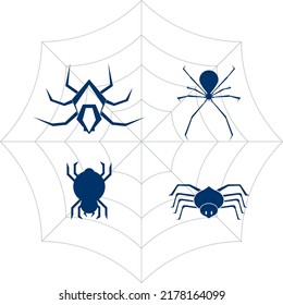 Spider icon.vector illustration symbol design.