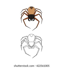 spider illustration