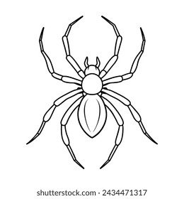 Spider illustration coloring page for kids