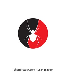 spider illustration logo vector template-vector