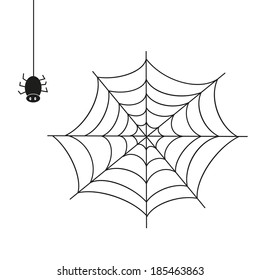Spider. Illustration on white background. A vector Illustration