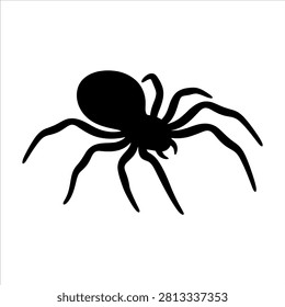 Spider illustration on white background