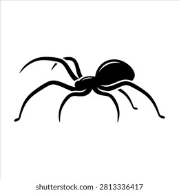 Spider illustration, simple line drawing of an arachnid