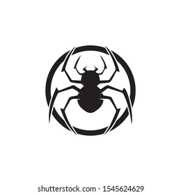 spider ilustration logo vector template