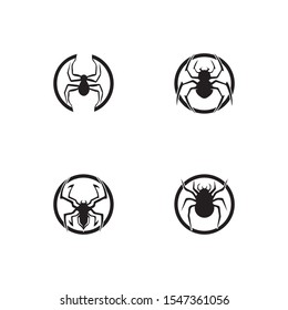 spider ilustration logo vector template