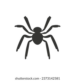 Icono de insecto de araña sobre fondo blanco - Ilustración vectorial simple