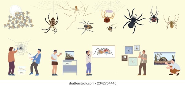 Spider insect set of flat isolated icons with various bugs and their maggots with human characters vector illustration