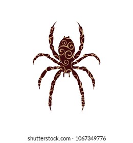 Spider insect spiral pattern color silhouette animal.