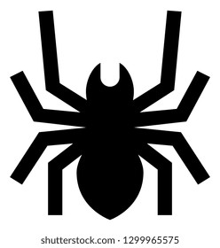 Spider Insect Vector Icon
