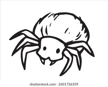 spider insect. vector illustration in sketch style.