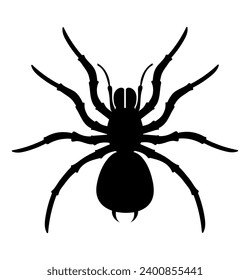 spider insects wildlife animals vector illustration isolated on white background