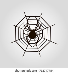 Spider isolated flat vector icon
