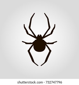 Spider isolated flat vector icon