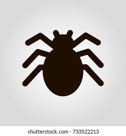 Spider isolated flat vector icon