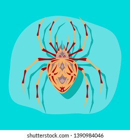 spider isolated on backdrop. Top view on realistic insect with points. Vector illustration.