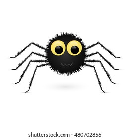 Spider isolated on white background. Vector illustration.