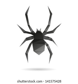 Spider isolated on a white backgrounds