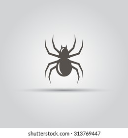 Spider isolated vector icon