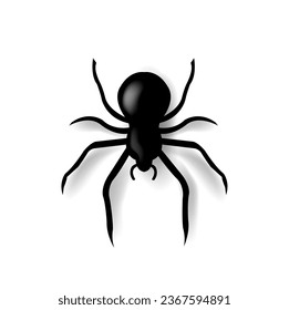 Spider And Isolated White Background With Gradient Mesh, Vector Illustration