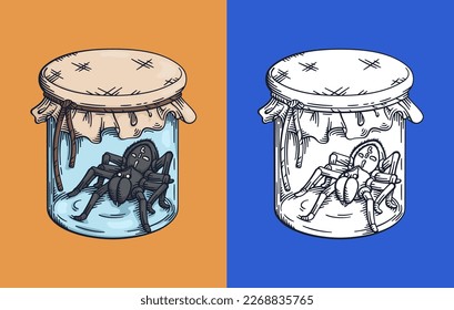 Spider in the jar. Engraving drawing technique. Vintage illustration. Vector design elements