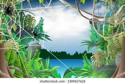 spider in the jungle