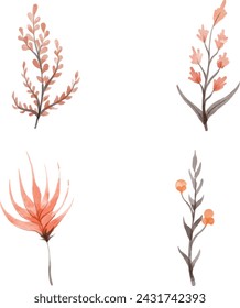 spider lily, orange flower, cardinal flower, colour, dynamic, flow, fluid, gradient, graphic, geometric, logotype, abstract, element, illustration svg