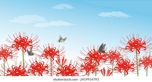 Spider lily and swallowtail butterfly frame background blue sky (2:1)