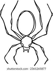 Spider Line Art EPS | Halloween Arachnid | Spooky Season Creepy Scary Insect