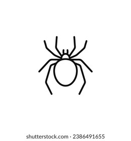 Spider line icon isolated on white background
