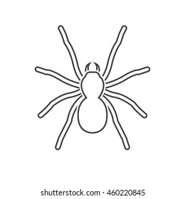 Spider Line Icon Outline Vector Logo Stock Vector (Royalty Free ...