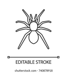 Spider linear icon. Arachnida. Thin line illustration. Contour symbol. Vector isolated outline drawing. Editable stroke