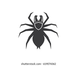 Spider Logo