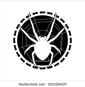 spider logo Araneus