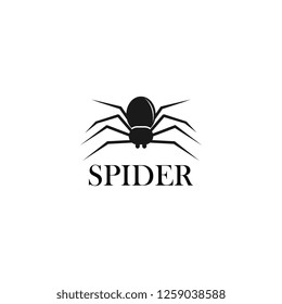 spider logo design