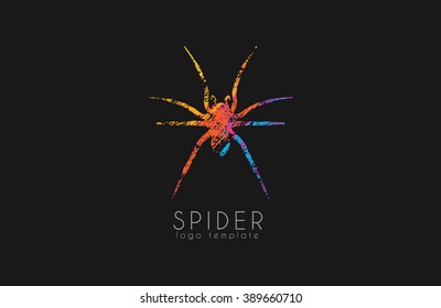 Spider logo design. Color spider logo. Creative logo. Colorful logo design.
