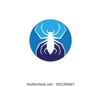 Spider Logo design vector illustration design template