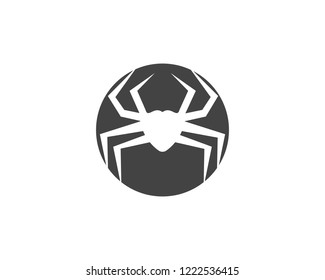 Spider Logo design vector illustration design template