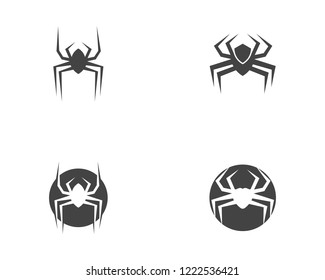 Spider Logo design vector illustration design template