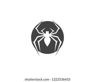 Spider Logo design vector illustration design template