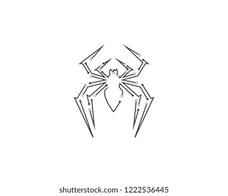 Spider Logo design vector illustration design template