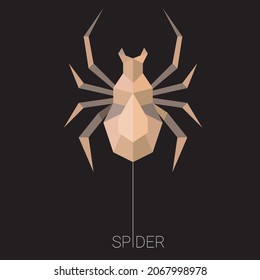 Spider logo geometric pattern. Tarantula.