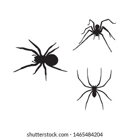 Spider logo icon illustration vector