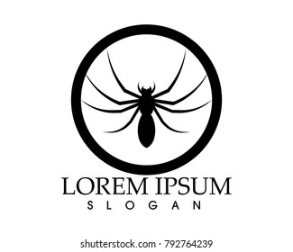 Spider logo and symbols template icons app 